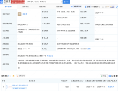 莱克电气武汉布局新动向 全资子公司盛大开业，瞄准家电市场新机遇！厨具卫具及日用杂品